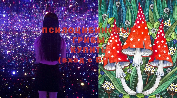дживик Алексеевка