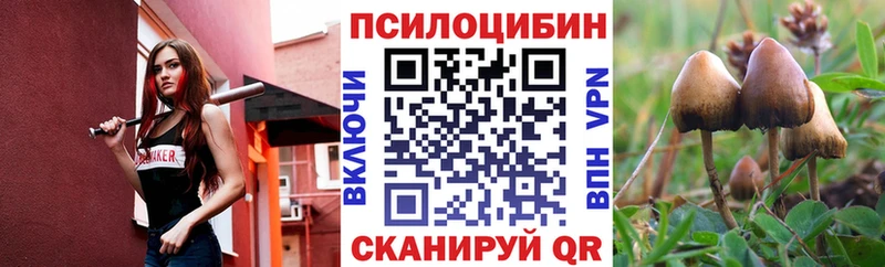 Галлюциногенные грибы Cubensis  Камешково 